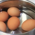 煮雞蛋學問大了，你知道要冷水還是熱水下鍋？煮錯了可能會降低雞蛋的營養價值，還有可能會帶有病菌 ！ 