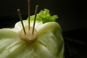 驚奇！簡單有效的蔬菜保鮮法，只需要3根牙籤就可以做到