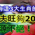 家中有這3大生肖的女人，旺夫旺夠20年、財源不絕！