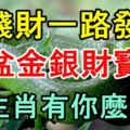 錢財一路發，滿盆金銀財寶的生肖有你麼？