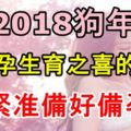 2018狗年有懷孕生育之喜的生肖，趕緊准備好備孕！