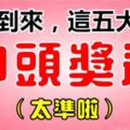 12月的到來，這五大生肖最有中頭獎運。