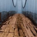 心理測試：4條獨木橋，你會走哪條？秒測出你人生的轉折點在哪裡