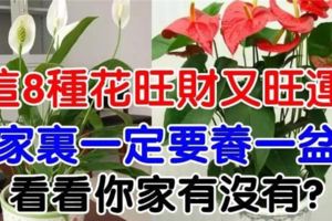 這8種花旺財又旺運，家裡一定要養一盆！看看你家有沒有？