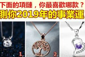 下面的項鏈，你最喜歡哪款？測你2019年的事業運