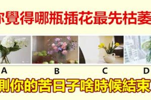 你覺得哪瓶插花最先枯萎？測你的苦日子啥時候結束？