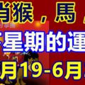 生肖猴，馬，兔，下星期的運勢（6月19-6月25）