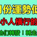 7月份運勢低迷，警惕小人橫行的生肖