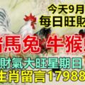 今天9月17日：每日旺財提示：雞豬馬兔，牛猴蛇狗。財氣大旺星期日！上榜生肖留言17988必轉！