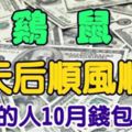 明天後順風順水的四大生肖！轉走的人10月錢包滿滿！