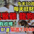 今天10月13日，每天旺財提示：豬鼠猴雞，龍狗虎牛。錢財有收穫！貴人帶財運留言13868必轉！