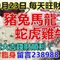 今天10月23日，每天旺財提示：豬兔馬龍，蛇虎雞牛。財運大吉錢財順利！橫財臨身留言238988必轉！