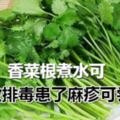 香菜煮水喝，有什麼神奇功效？香菜根煮水可有效排毒患了麻疹可嘗試