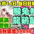 今天11月14日,每日旺財提示：猴兔狗牛，龍雞鼠馬。富貴滿滿錢財豐收！繼續旺財留言51898必轉！