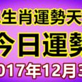 十二生肖運勢天天看，今日運勢：12月3日