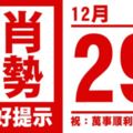 生肖運勢，天天好提示（12月29日）