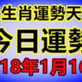 十二生肖運勢天天看，今日運勢：1月16日