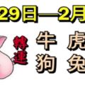 十二生肖每週運勢播報（1月29日—2月4日）