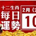 2月10號(六)12生肖運勢+指數