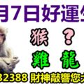 3月7日好運生肖，天天發財迎好運！【猴+？+鼠+雞+龍+馬】『留言32388財神敲響您大門！』