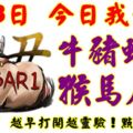 3月8日，今日我最旺！牛豬蛇羊猴馬虎鼠！【16888】越早打開越靈驗！點個贊吧！