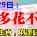 4月29日，這些生肖，錢多到花不完，財運旺久久！