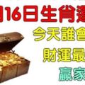 6月16日生肖運勢，今天誰會成為財運最大的贏家呢？