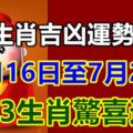 十二生肖吉凶運勢周報｜7月16日至7月22日，3生肖驚喜連連！