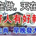 【人在做，天在看】這4生肖之人，好人有好報，早晚發大財