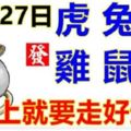 11月27日生肖運勢_虎、兔、羊大吉