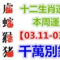 十二生肖運勢：本周運勢【03.11-03.17】千萬別錯失！