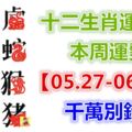 十二生肖運勢：本周運勢【05.27-06.02】千萬別錯失！