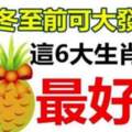 冬至前可大發一筆，這六大生肖最好命