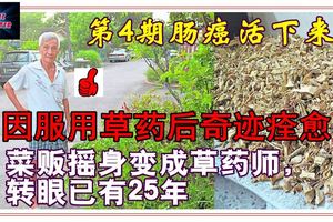 第4期腸癌活下來菜販改行種藥救人