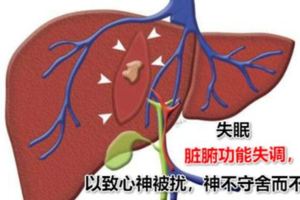 失眠很煩惱？醫生：每天吃這種水果、常按這三處穴位，一覺到天亮