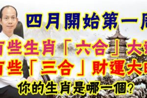 四月開始第一周，有些生肖「六合」大運，有些生肖「三合」財運大旺。你的是哪一個？