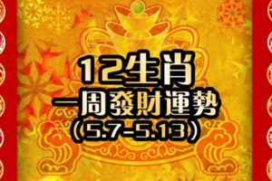 12生肖一周發財運勢【5.7-5.13】