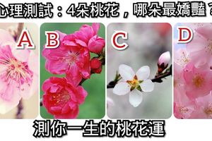 心理測試：4朵桃花，哪朵最嬌豔？測你一生的桃花運