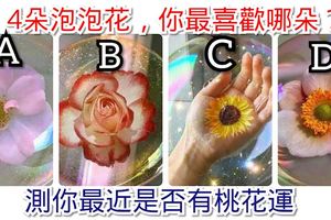 心理測試：4朵泡泡花，你最喜歡哪朵？測你最近是否有桃花運