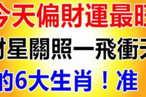 橫財飛來！今天偏財運最旺，財星關照一飛衝天的6大生肖！