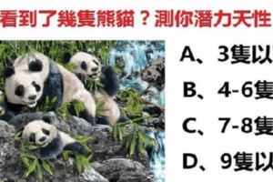 照片中你看到了幾隻熊貓？測你的潛力天性！