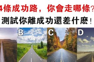 測試：4條路選一條，測你還差什麼才可以成功！