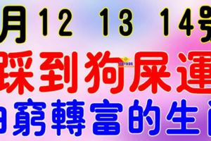 8月12，13，14號開始踩到狗屎運，有望由窮轉富的生肖~