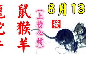 8月13日，龍、鼠、蛇、猴、牛、羊！大吉利！