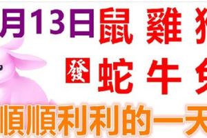 8月13日生肖運勢_鼠、雞、猴大吉