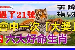 過了21號，必有天降橫財的六大好命生肖，即將會中一次「大獎」