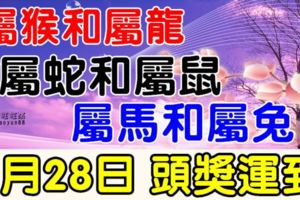 這些生肖，8月28日，財富大爆發，頭獎運到！