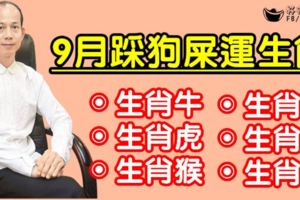 算命先生說，這六大屬相，9月狗屎運來了旺旺旺！