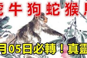 9月05日！屬虎、牛、狗、蛇、猴、馬的人必轉！真的靈！