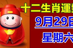 十二生肖運勢9月29日